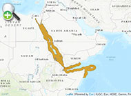 هامور سومن