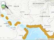 عقرب‌ماهی لکه‌سفید