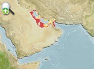 ماهی سفیدگون پوزه‌کوتاه