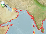 آنچوی هاردنبرگ